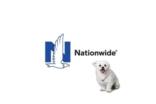 nationwide pet insurance